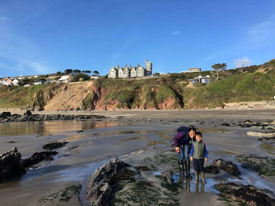 Tamar Valley, Cornwall 卡林顿 外观 照片