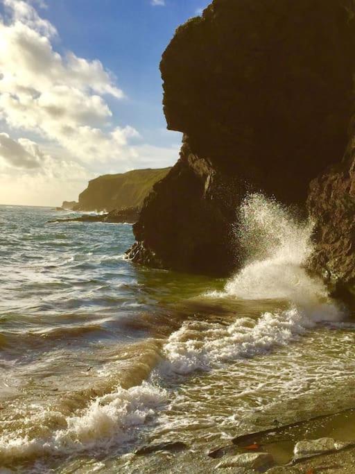 Tamar Valley, Cornwall 卡林顿 外观 照片
