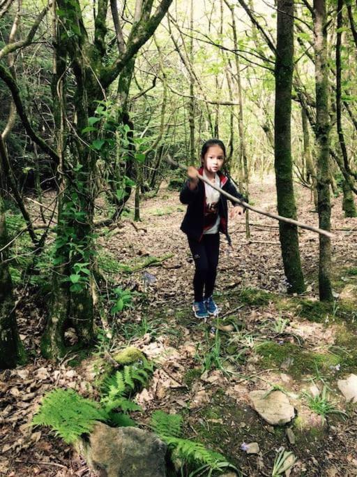 Tamar Valley, Cornwall 卡林顿 外观 照片