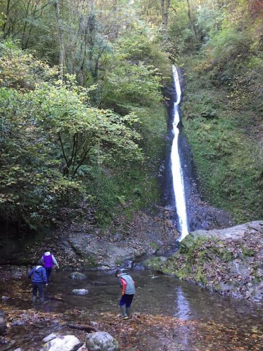 Tamar Valley, Cornwall 卡林顿 外观 照片