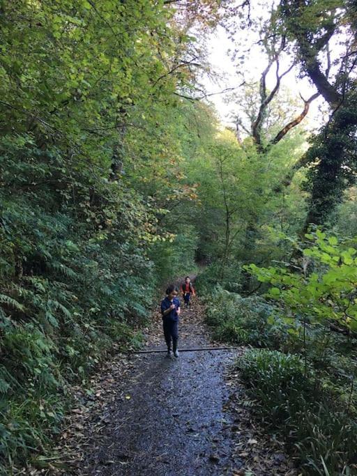 Tamar Valley, Cornwall 卡林顿 外观 照片